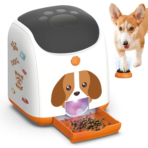 Dog Puzzle Feeder Toy (Orange)