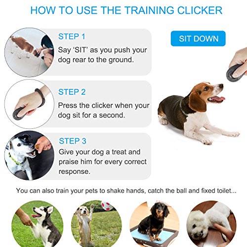 Dog Clicker 4 Pcs Multi (Black & Yellow & Red & Blue)