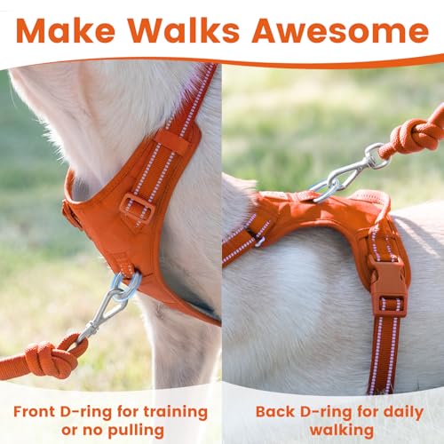 No Pull Dog Harness Front Clip Handle (Orange / XL(Neck:24.8-38.6",Chest:29.1-45.3"))