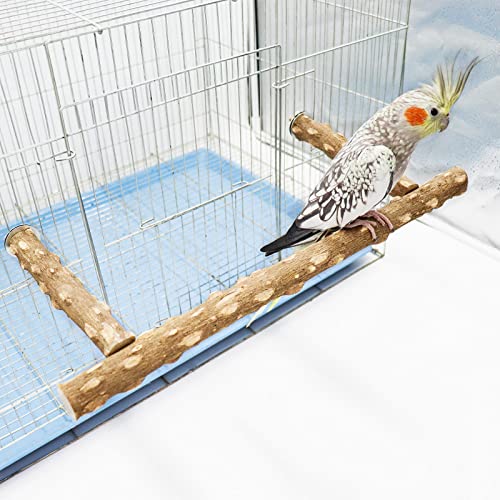 Large Natural Pepper Wood Parrot Stand Branch