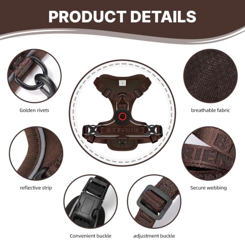 Cat Harness Leash Set with AirTag Holder (Brown for Airtag / XL)
