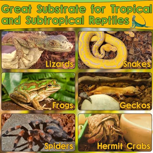 Organic 10LB Coconut Husk for Reptiles (10LB-1pack)
