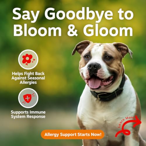 Vet Strength Dog Allergy Chews (90 Count (Pack of 1) - Vet Strength)