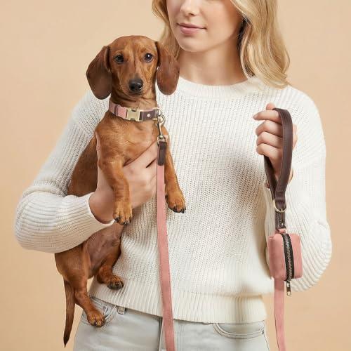 PU Leather Dog Collar for Small Dogs Puppy (Pink / S: Neck 11-15", Width ⅝")