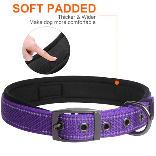 Heavy Duty Dog Collar for Large Dogs with Metal Belt Buckle (Large(19"-23") / Purple)