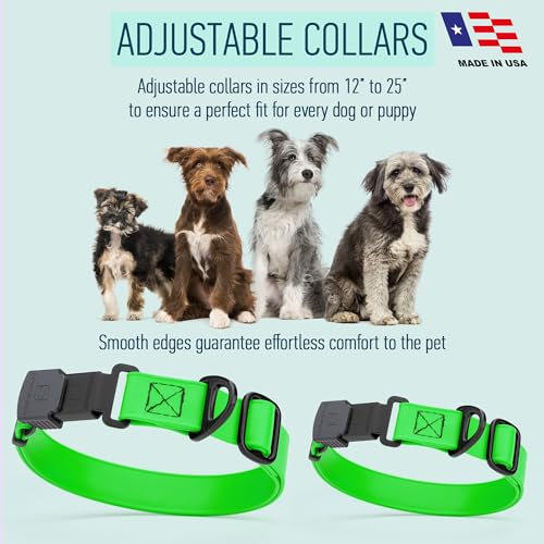 Biothane Waterproof Dog Collar with Herm Sprenger Stainless Steel Quick Release Buckle (W 3/4" x L 12"-19" / Tropical Green)