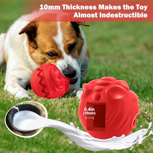 Rubber Treat Dispensing Dog Toys