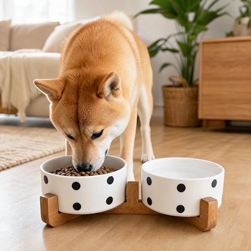 Ceramic Dog Bowl Set with Stand (Black Dot / 400ML*2)