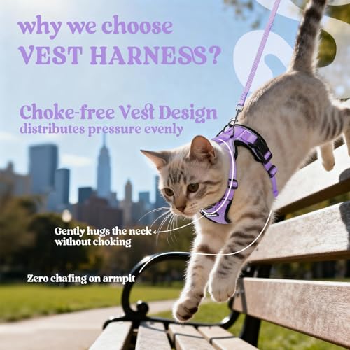 Cat Harness and Leash Set (S / Light Purple)