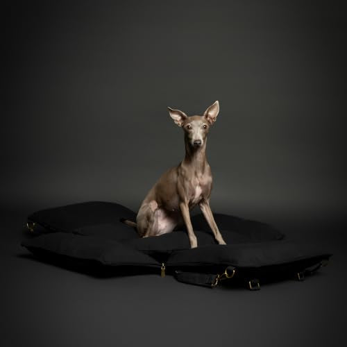 Small Dog Car Seat for Small Medium Pets with Harness Clip (Black - Canvas / Medium)