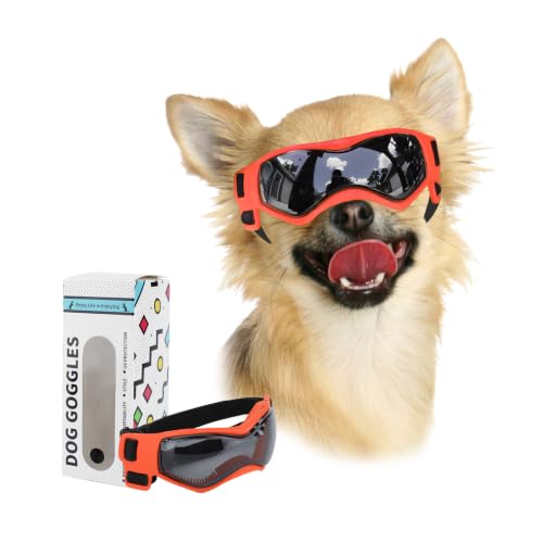 Small Dog Goggles for Small Breed UV (Small / Orange)