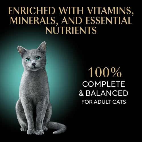Perfect Portions Cuts Wet Cat Food (12 Count (Pack of 1))
