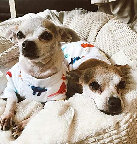 Dog Halloween Pajamas Puppy Onesies Small Dogs Soft Pjs Coat Cat Apparel Comfy Pet Christmas Clothes Outfit Doggie Bodysuit (X-Large / White Dino)