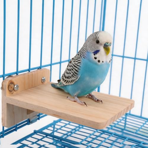 Bird Platform Wooden Corner Perch Stand Shelf for Parrot Cage