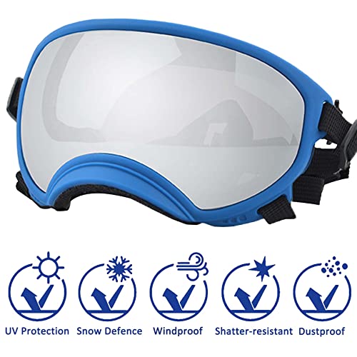 Large Dog Sunglasses