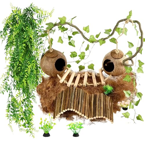 10PCS Crested Gecko Tank Accessories Set (Large with Double Coconut Shell)