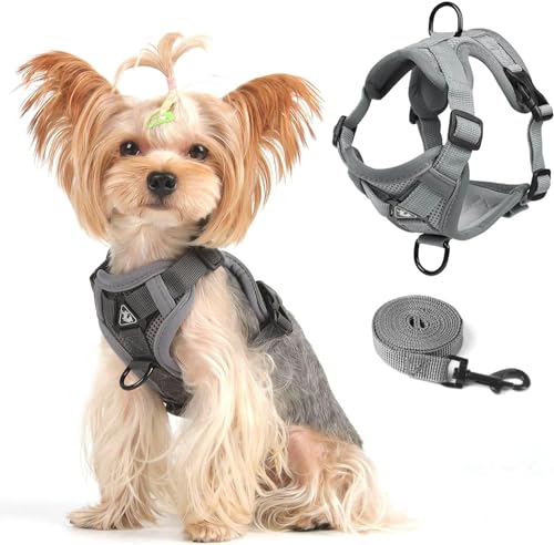 Cat Harness and Leash Set (Gray / S)