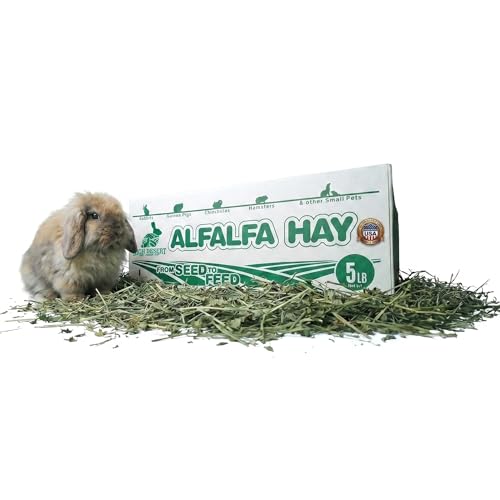 Alfalfa Hay for Young Rabbits and Guinea Pigs