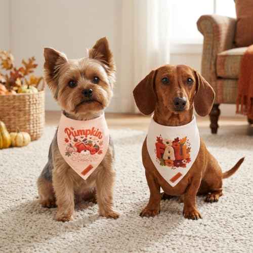Fall Dog Bandanas (Small / Fall-1)