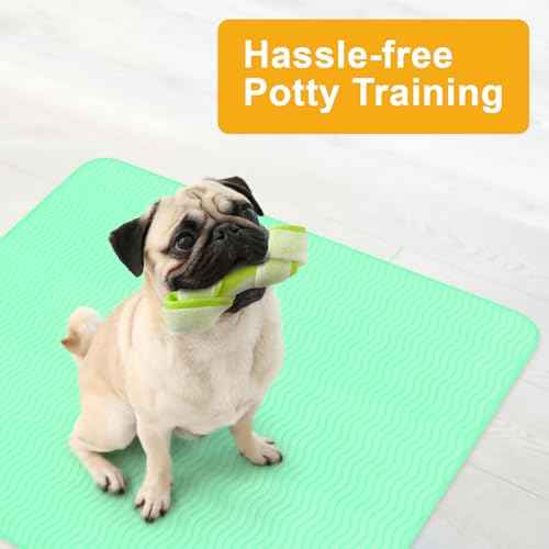 Washable Underpads (Blue/Green / 2 Pack - 48x48)