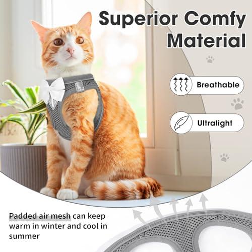 Cat Vest Harness and Leash Set (Grey / S)