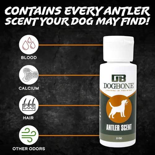 Shed Hunting Dog Training Kit
