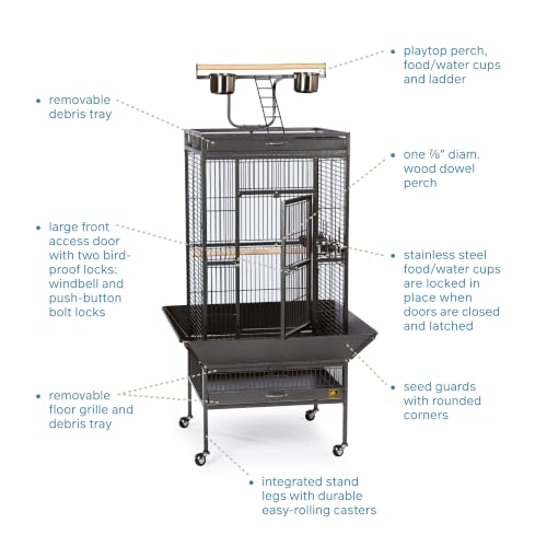 Wrought Iron Select Bird Cage (Black Hammertone / 24.0"L x 20.0"W x 60.0"H)