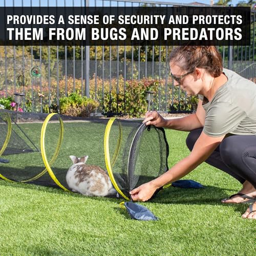 Outdoor Cat Enclosure for Indoor Cats (Fun Run Cat Tunnel)