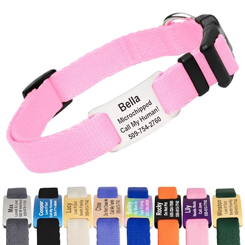 Dog Collar with Personalized Nameplate (Classic / X-Small (Pack of 1))
