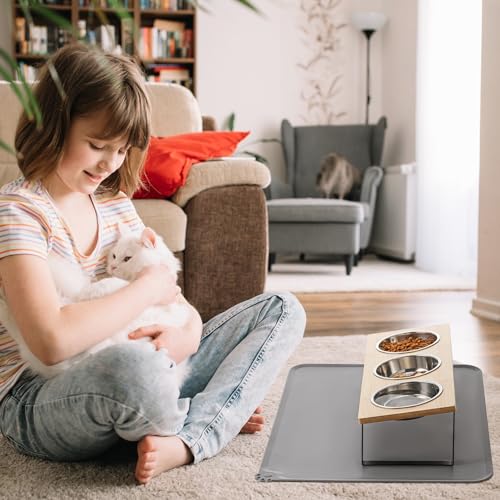 Stainless Steel Raised Cat Food Bowl for 3 Bowls