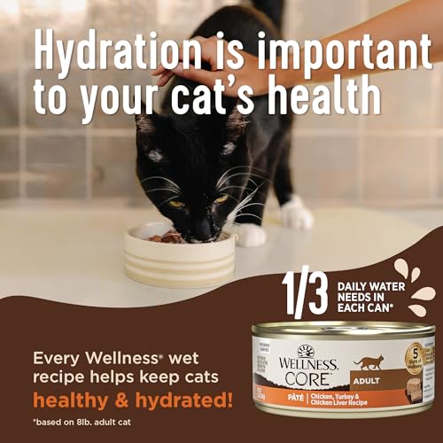 CORE+ Digestive Health Pate Adult Canned Wet Cat Food (3 Ounce (Pack of 12))