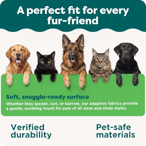 Orthopedic Dog Bed for Large Dogs (Jumbo/XL / Chocolate)