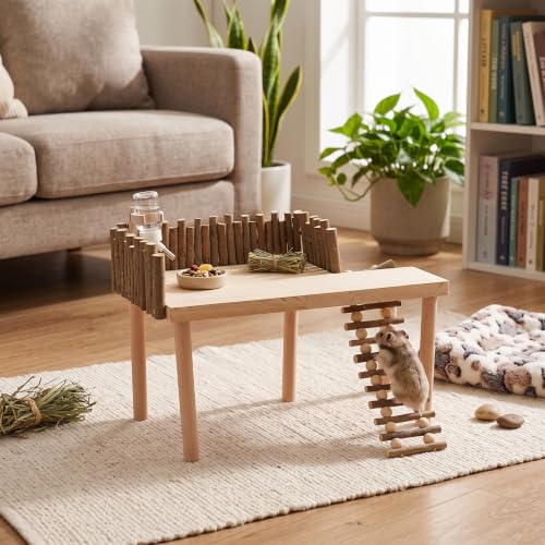 Wooden Hamster Climbing Gym