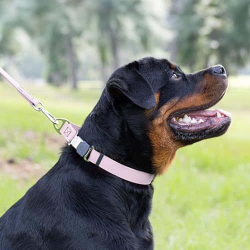 Biothane Waterproof Dog Collar with Herm Sprenger Stainless Steel Quick Release Buckle (W 1" x L 15"-25" / Pastel Purple)