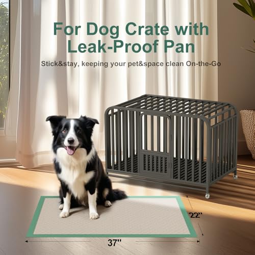 Dog Pee Pads Extra Large 22"x37" (22" x 37" (30 Ct))