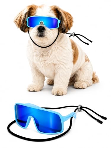 G029 Dog Cat Pet Sports Turbo Small Sunglasses for Toy Breeds 8 (S, 8-18lbs, Turbo Sky blue-blue mr)