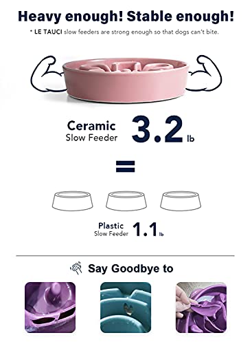 Slow Feeder Dog Bowls Ceramic (Pink Bloom / M-1.5 Cups)