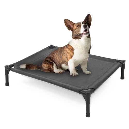 Elevated Dog Bed for Medium Dogs (Dark Grey / Medium)