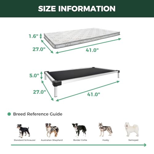 TitanNest Padded Chew (Black / Medium Dog (41.0"L x 27.0"W x 5.0"H) + Cover)