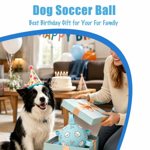 Dog Soccer Ball with Straps (Pale Blue / Medium-6 Inch)