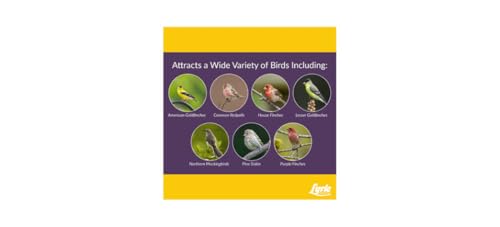 Small Songbird (5 Pound (Pack of 1))