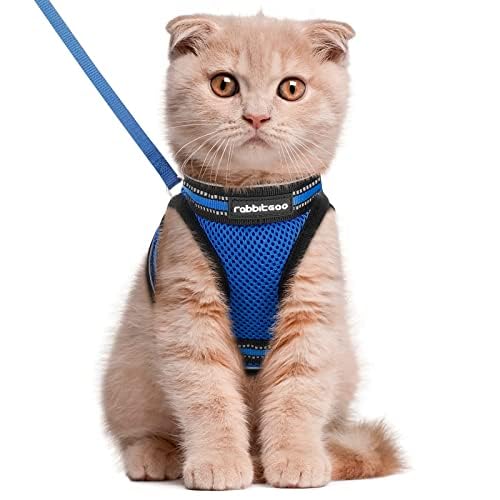 Cat Harness and Leash Set (L / Blue)