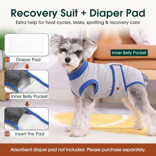 Recovery Suit for Dogs Cats (X-small (Back:8.3-11.4'', Weight:4-7 Lb) / Gray Sapphire)