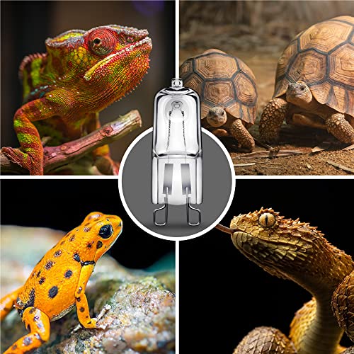G9 Heat Lamp Bulbs for Reptile Mini Reptile Light Warm 50W 6 Pack (Warm Bulb / 6 Pack)
