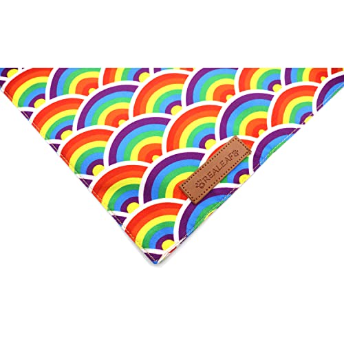 Pride Dog Bandanas 2 Pack (Pride Day / Large)