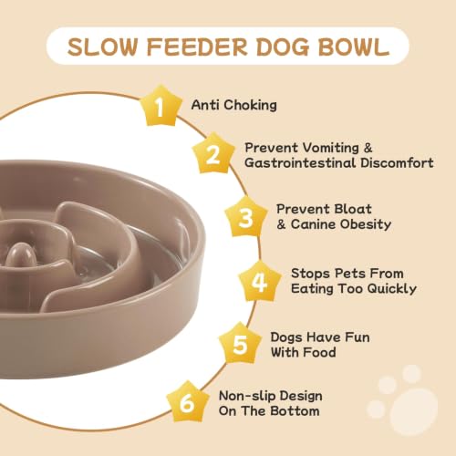 Elevated Slow Feeder Dog Bowls (Brown Coffee)