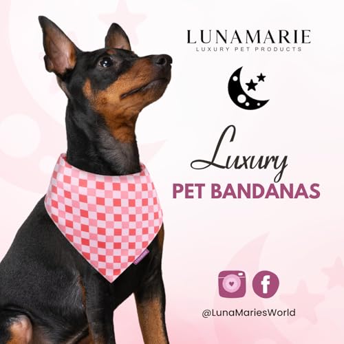 Luxury Pet Birthday Bandanas (Rebel / Small)