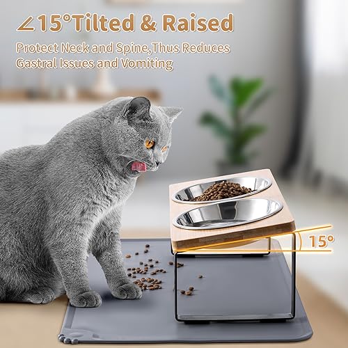 Upgraded Elevated Cat Bowls with Food Mat