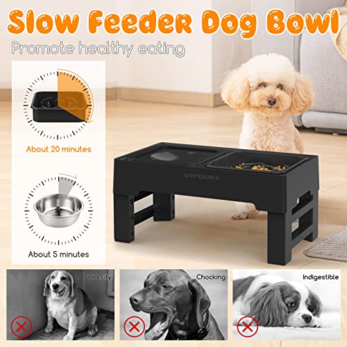 2-in-1 Elevated Slow Feeder Dog Bowls with No-Spill Water Bowl