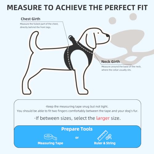 Dog Harness Collar and Leash Set No Pull for Small Medium Sized (Blue / XS (CHEST 13"-14.5"))
